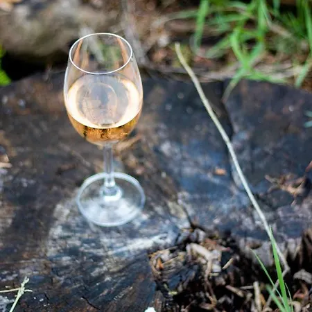 Sarnowka Kdn Semesterbostad *