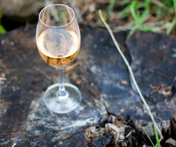 Sarnowka Kdn Prázdninový dům *