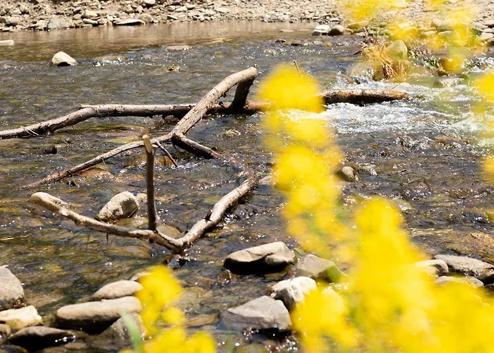 Sarnowka Kdn * Rajcza